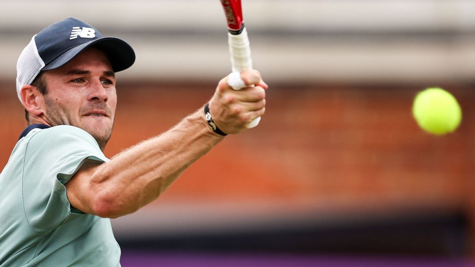 更多巴西球 更多巴西球