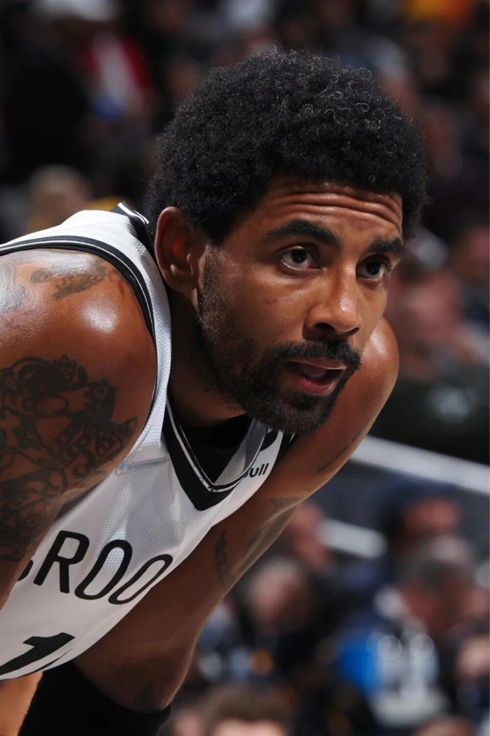 但这不代表 但这不代表