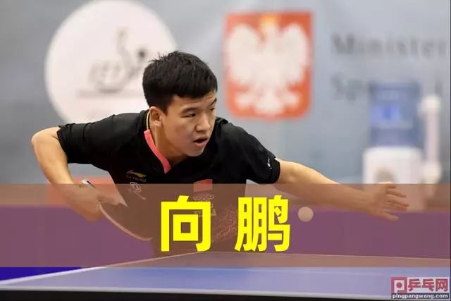 世运第一线13岁壁球小将殷子媛怀揣梦想闯世