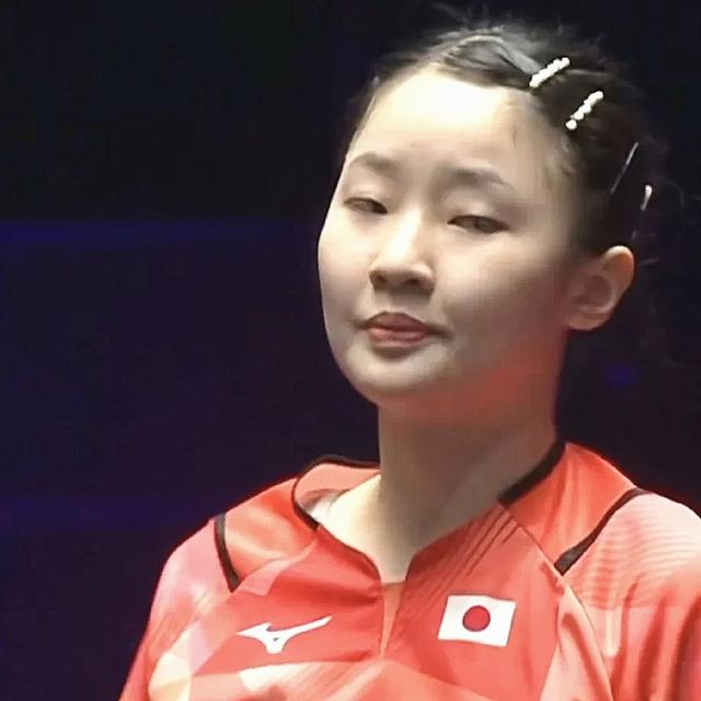 提供了展示 提供了展示