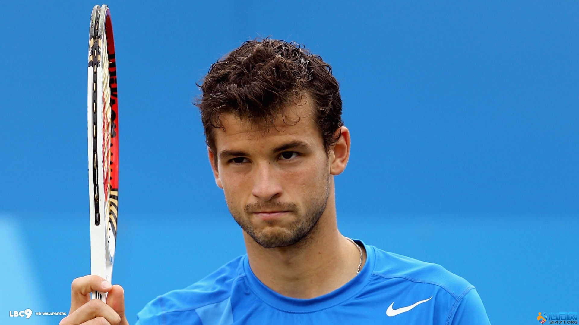 每一回合都 每一回合都